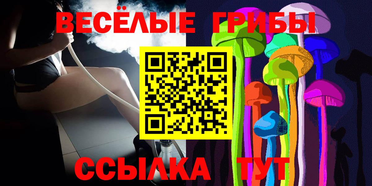 Псилоцибиновые грибы прущие грибы  Вход с VPN  Волгоград  Галлюциногенные грибы прущие грибы 