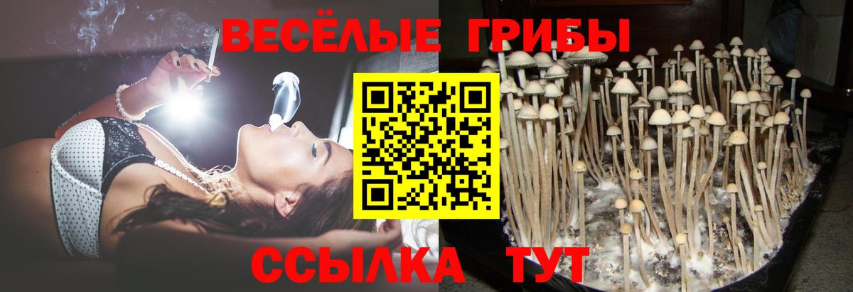 Галлюциногенные грибы мицелий Волгоград